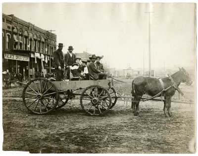 Arkansas af Jessie Tarbox Beals