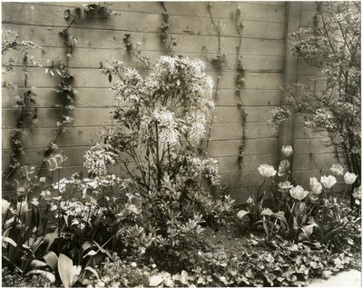 Mr & Mrs John Morgan, 39 W 11 St Center Andromeda-fabrik, Greenwich Village, New York, USA, ca. 1939-40 (foto af gelatinesølv) af Jessie Tarbox Beals
