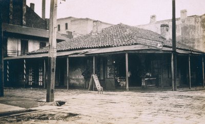 New Orleans, ca. 1905 af Jessie Tarbox Beals