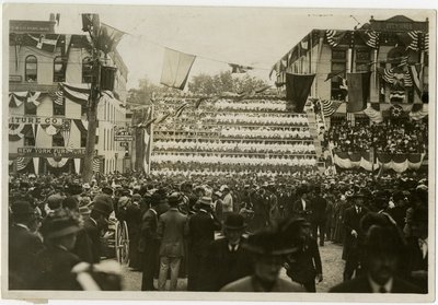 Newburgh: Levende flag af Jessie Tarbox Beals