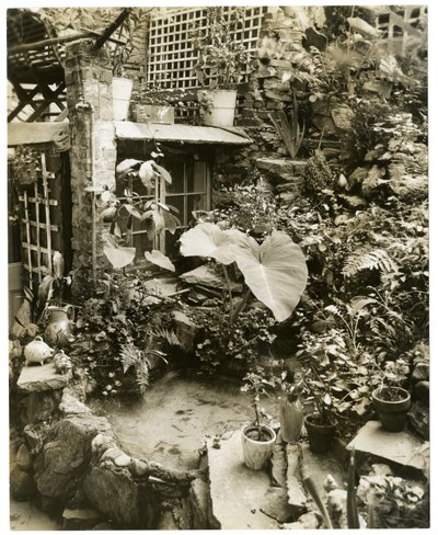 Swimmingpool med udsigt til George og Mary Stonehills terrasse, Greenwich Village, New York, USA, ca. 1936-37 (gelatinsølvfoto) af Jessie Tarbox Beals
