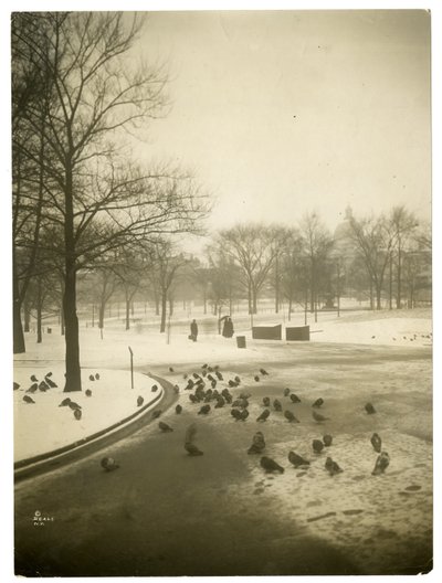 Usædvanligt koldt i Common, Boston, USA, ca. 1902-10 (gelatine sølv foto) af Jessie Tarbox Beals