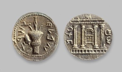 Selah-mønter fra Bar Kochba-oprøret, 134 AD (metal) af Jewish School