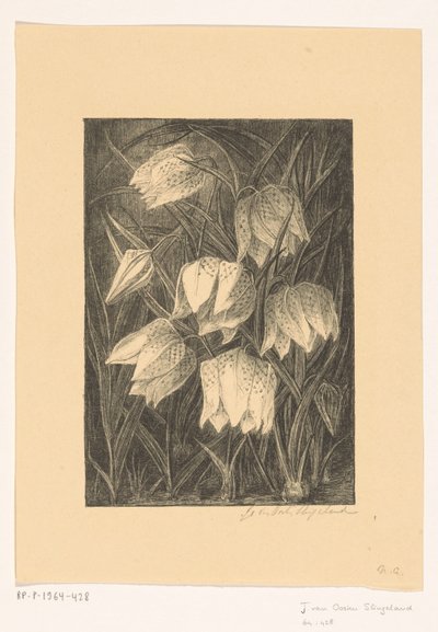 Vibe blomster af Jo van Oosten Slingeland (signed by artist)