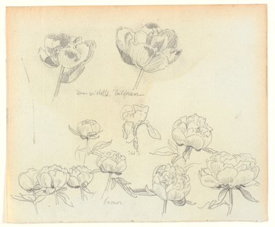 Blomsterstudier af Joakim Frederik Skovgaard