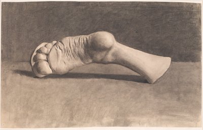 Tegning efter gips. En fod af Joakim Frederik Skovgaard