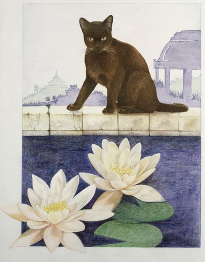 burmesisk af Joan Freestone