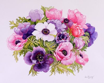 Anemoner,2001,akvarel på håndlavet papir af Joan Thewsey