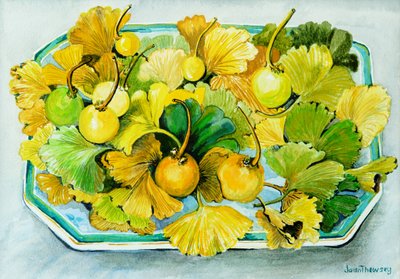 Ginkgo,frugt og blade,2010, akvarel af Joan Thewsey