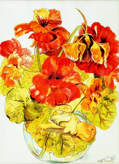 Nasturtiums, 2005, (vandfarve) af Joan Thewsey