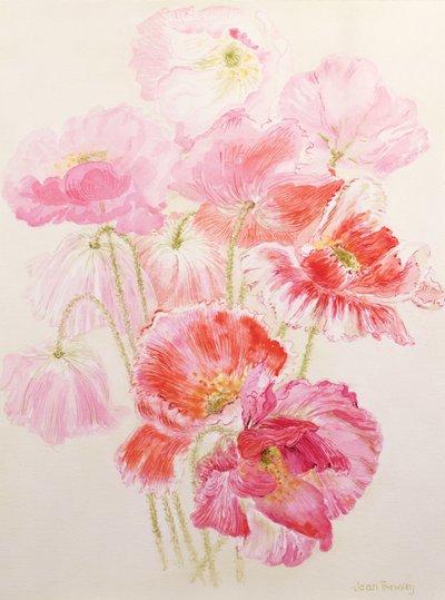 Shirley Poppies af Joan Thewsey
