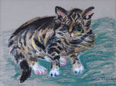 Tabby Cat, 2005 (pastel) af Joan Thewsey