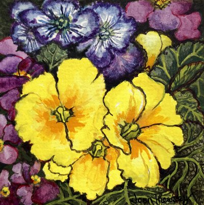 Tre gule primula omgivet af lilla og lilla primula og blade (akvarel) af Joan Thewsey