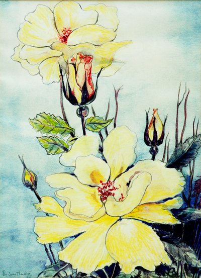 Yellow Rose in a Suffolk Breeze, 2005, (vandfarve) af Joan Thewsey