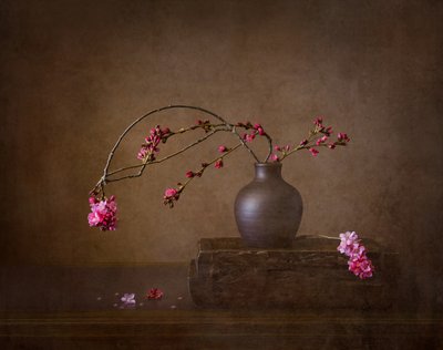 Stilleben med kirsebærblomster af Joanna W