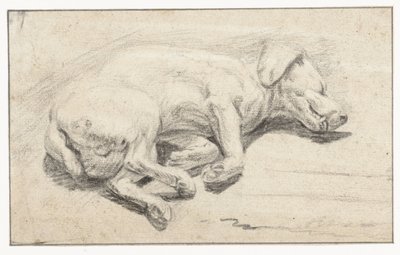 Liggende hund, sovende af Joannes Fijt (attributed to)