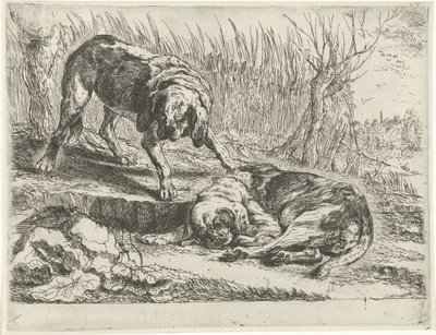 To hunde Hunde (serietitel) af Joannes Fijt