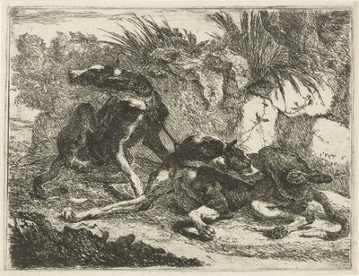 To hunde Hunde (serietitel) af Joannes Fijt