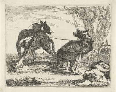 To hunde Hunde (serietitel) af Joannes Fijt