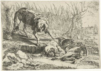 To hunde Hunde (serietitel) af Joannes Fijt