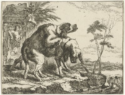To parrende hunde Hunde (serietitel) af Joannes Fijt