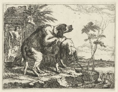 To parrende hunde Hunde (serietitel) af Joannes Fijt