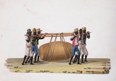 Vinholdere (wc på papir) af Joaquim Candido Guillobel