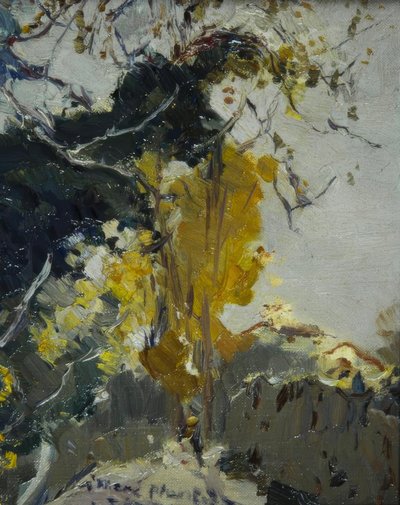 Baum af Joaquim Mir i Trinxet