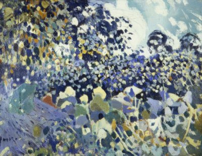 blomst af Joaquim Mir i Trinxet