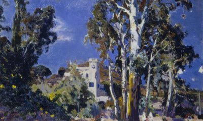 Mas Blau, Les Borges del Camp af Joaquim Mir i Trinxet