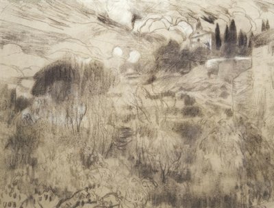 Maspujols af Joaquim Mir i Trinxet