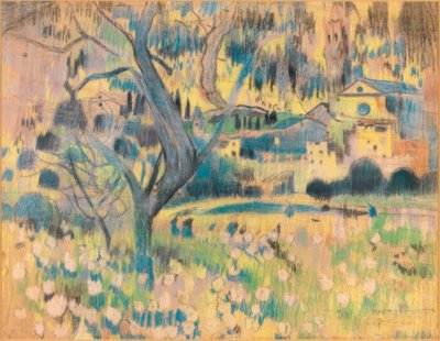 Maspujols af Joaquim Mir i Trinxet