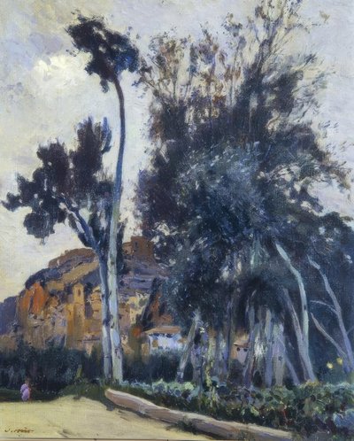 Miravet af Joaquim Mir i Trinxet