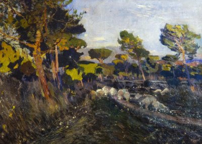 Uden titel af Joaquim Mir i Trinxet