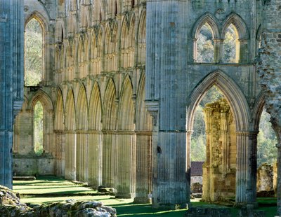 Rievaulx Abbey, c1990-2010 af Joe Cornish