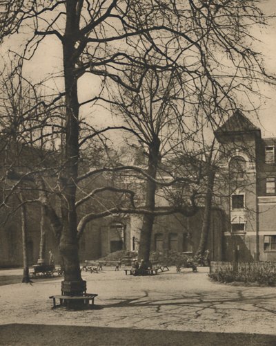 Under Elms in the Courtyard of Middlesex Hospital, c1935. af Joel