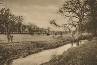 Hvor Beverley Brook snor sig gennem The Royal Hunting Park of Richmond, c1935. af Joel