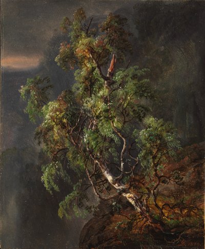 Birketræ i stormvejr af Johan Christian Dahl