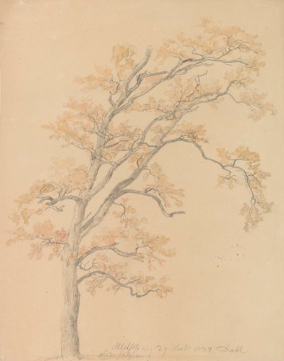 Egetræer med efterårsløv, Milicz af Johan Christian Dahl