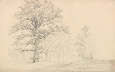 Løvtræer af Johan Christian Dahl