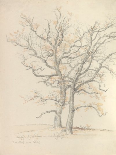 To egetræer af Johan Christian Dahl