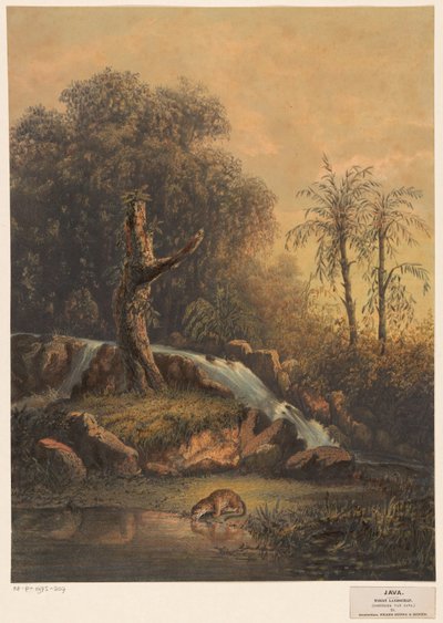 Landskab med vandfald og drikkeleopard Vildt landskab (det østlige hjørne af Java) (titel på objekt) af Johan Conrad Greive
