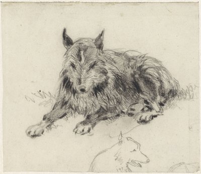 Tilbagelænet fårehund af Johan Daniël Koelman