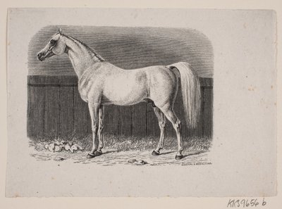 En hest af Johan Frederik Rosenstand