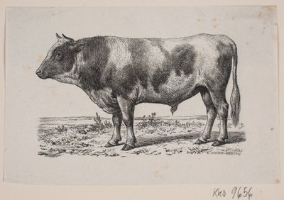 En tyr af Johan Frederik Rosenstand
