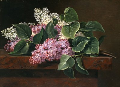 lilla på en afsats, af Johan Laurents Jensen