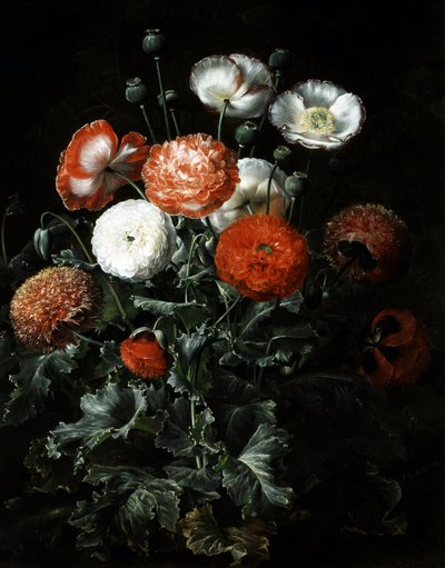 Eksotiske valmuer. Maleri af Johan Laurentz Jensen (1800-1856) Privat samling. af Johan Laurents Jensen