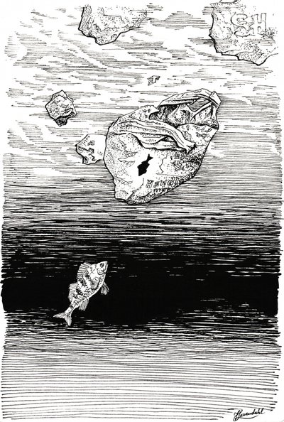 Fisk under plast af Johan Liewendahl