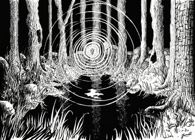 Mystiske skovbølger af Johan Liewendahl
