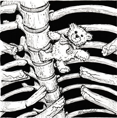 Skelet-bamse af Johan Liewendahl